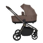 ANTES BABY Trio Musa